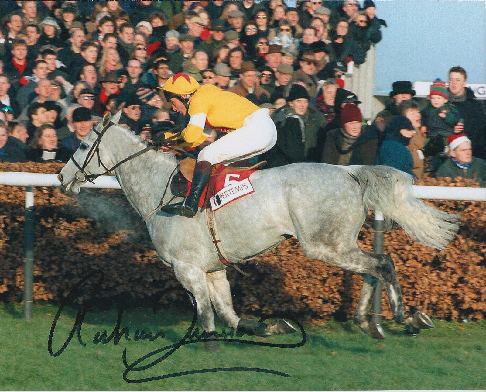 Richard DUNWOODY Signed Autograph 10x8 Photo Poster painting AFTAL COA Champion Jockey Genuine