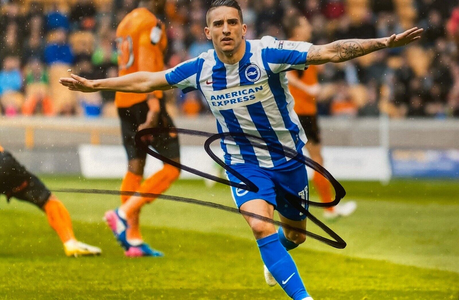Anthony Knockaert Hand Signed 6X4 Photo Poster painting - Brighton & Hove Albion 5