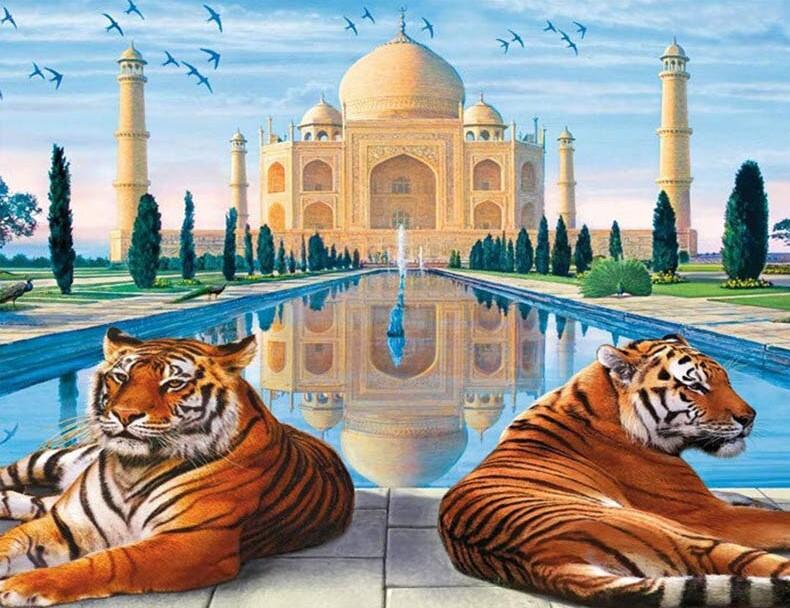 

Two tigers At Taj Mahal – Paint By Numbers - 40*50CM, 501 Original