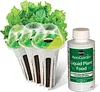 Heirloom Salad Vegetables Greens Mix Seed Pod Kit