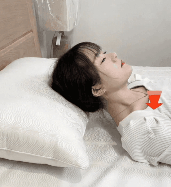 Sleep Enhancing Cervical Support Comfort Goose Down Pillow &ndash; Save 48% & Vip Shipping