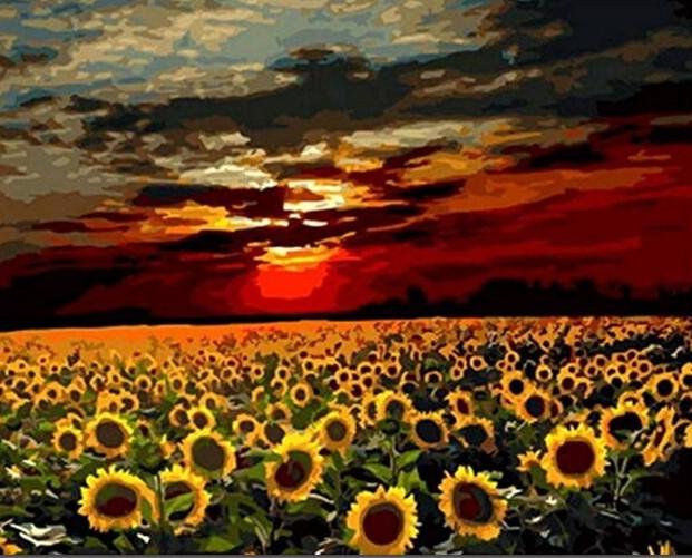 

Sunflower Field – Paint By Numbers - 40*50CM, 501 Original