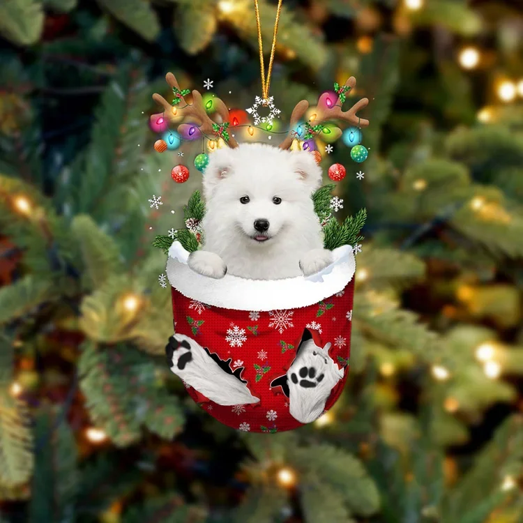 Samoyed In Snow Pocket Christmas Ornament trabladzer
