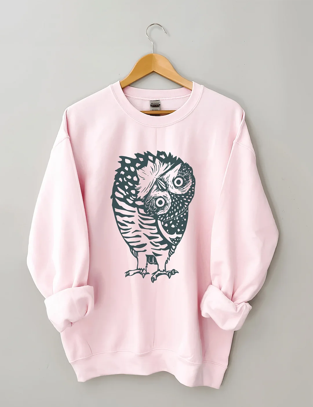 Funny Owl Sweatshirt