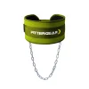 FITTERGEAR Weight Training Belt