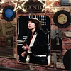 Pretenders - Vintage Metal Signs - 20*30cm/30*40cm - Music