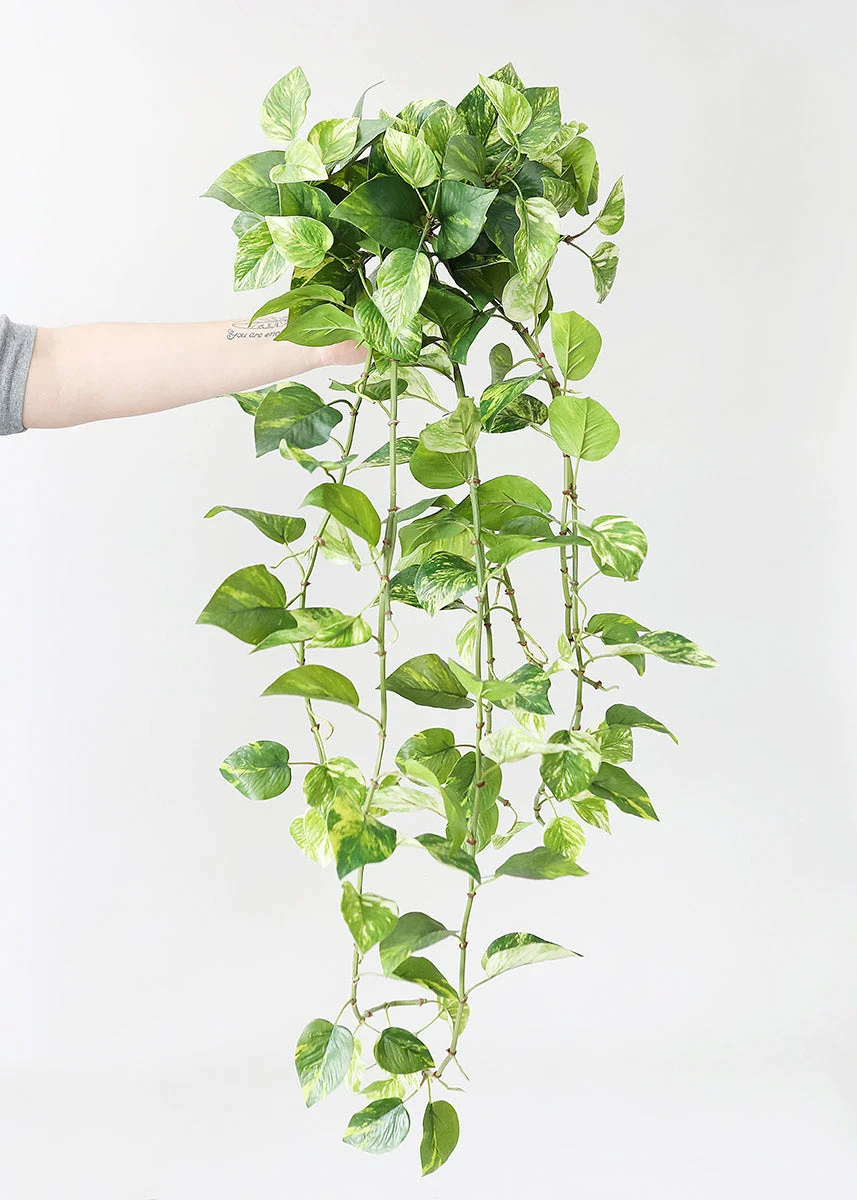 Natural Touch Pothos Artificial Plant - 48"
