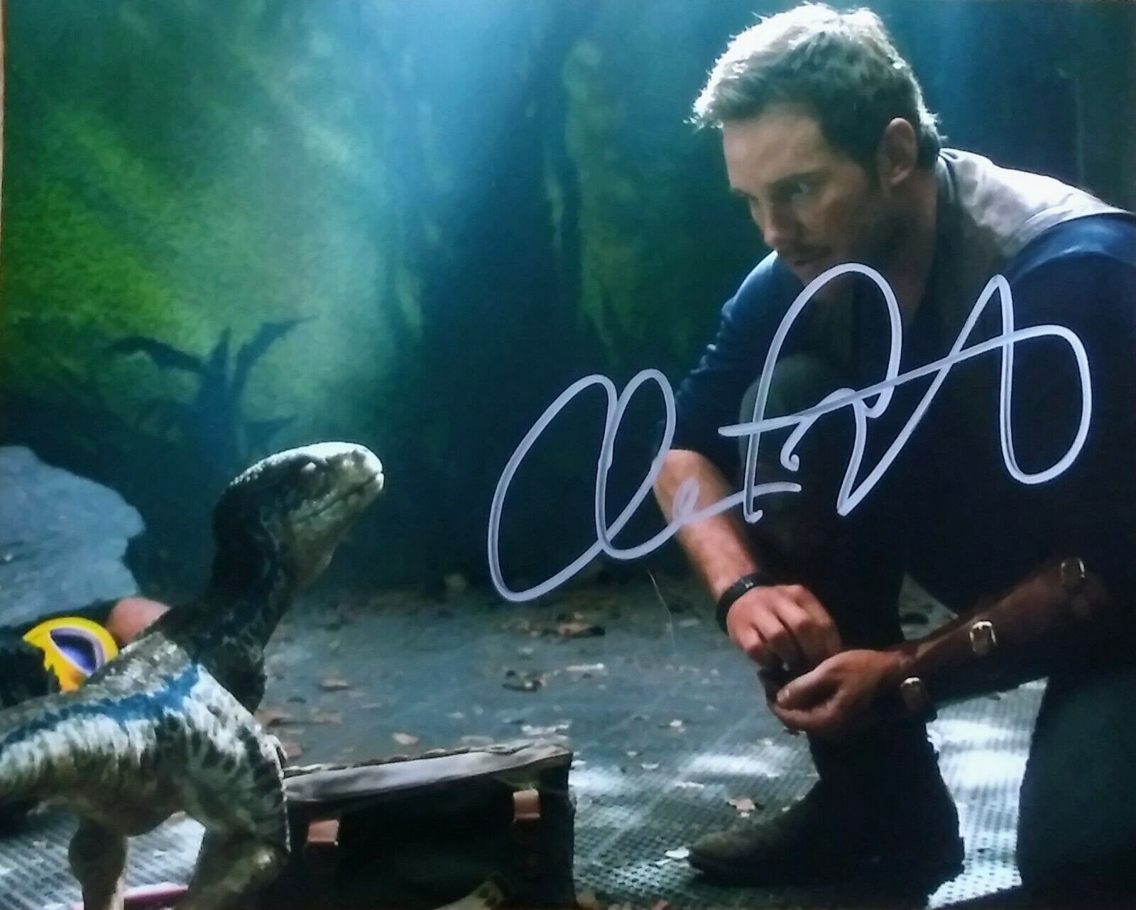 CHRIS PRATT AUTOGRAPHED 8X10 Photo Poster painting - GUARDIANS OF THE GALAXY JURASSIC WORLD