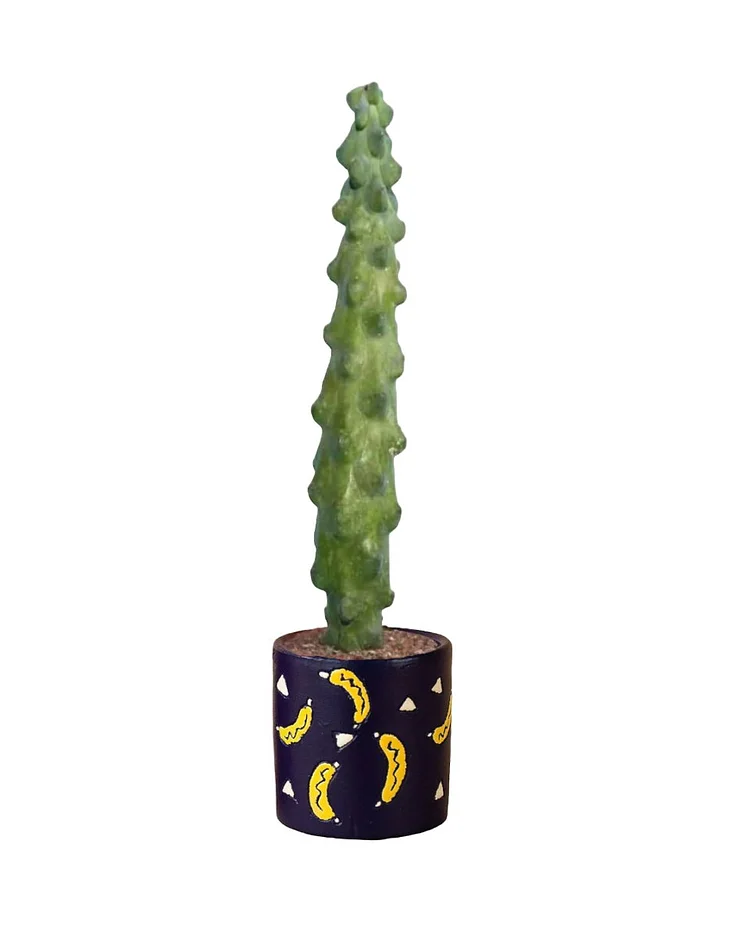 Tall Titty Cactus