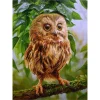 Owl | Full Round Diamond Painting Kits