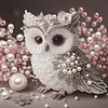 Eule e speziell geformte 5D-DIY-Teilbohrer-Diamanten-Punkte-Edelstein-Kunst-Kits f&uuml;r Erwachsene Anf&auml;nger-Wohnaccessoires Diamanten-Gem&auml;lde Edelsteinku