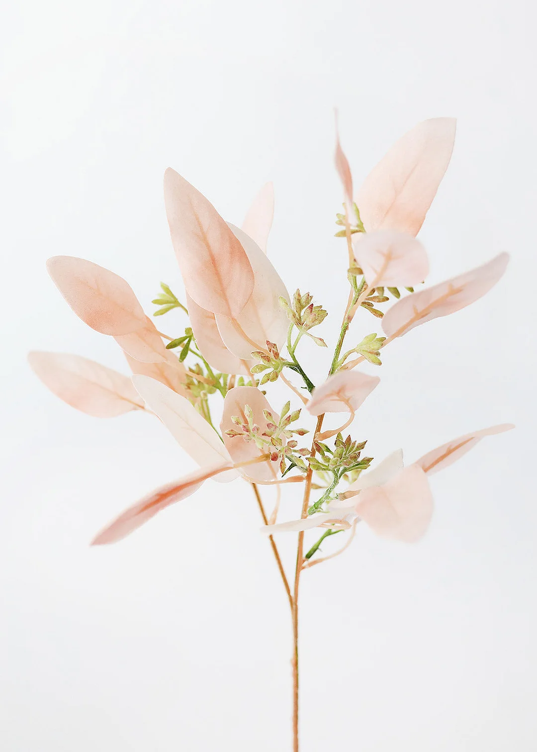 Fake Seeded Eucalyptus Leaves in Blush - 18"