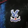 24/25 Player Version Crystal Palace Soccer Jersey Second Away