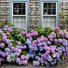 💥Artificial Hydrangea Flowers💐