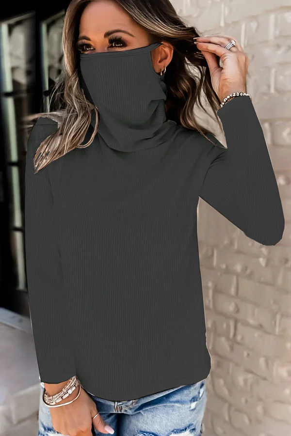 Casual Basic Solid Color Autumn Turtleneck Top