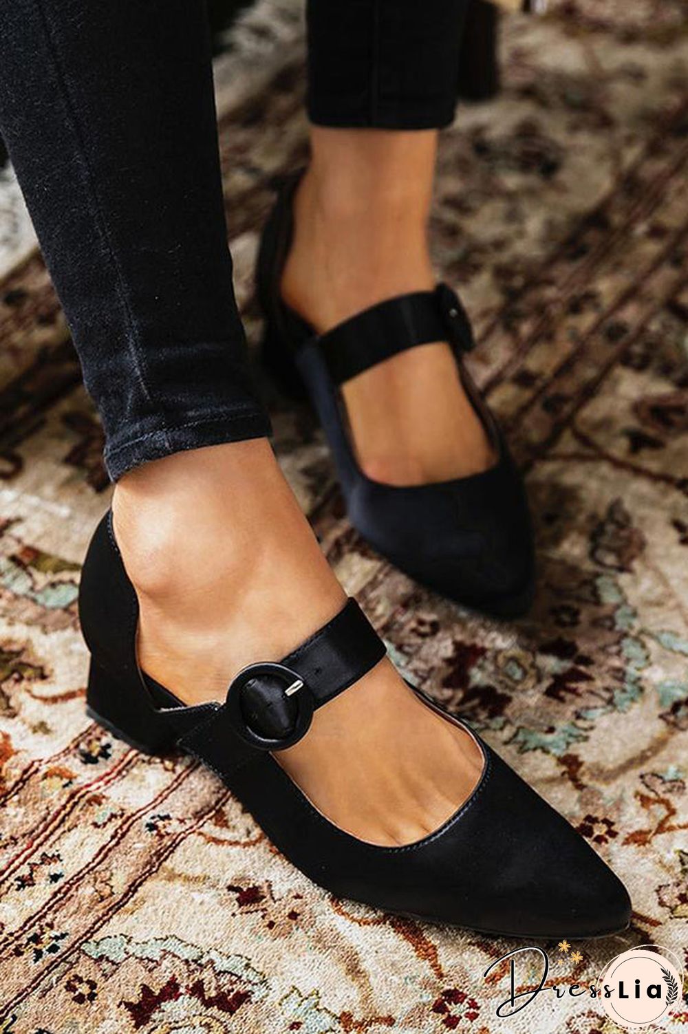 Pointed Toe Buckled Chunky Heels