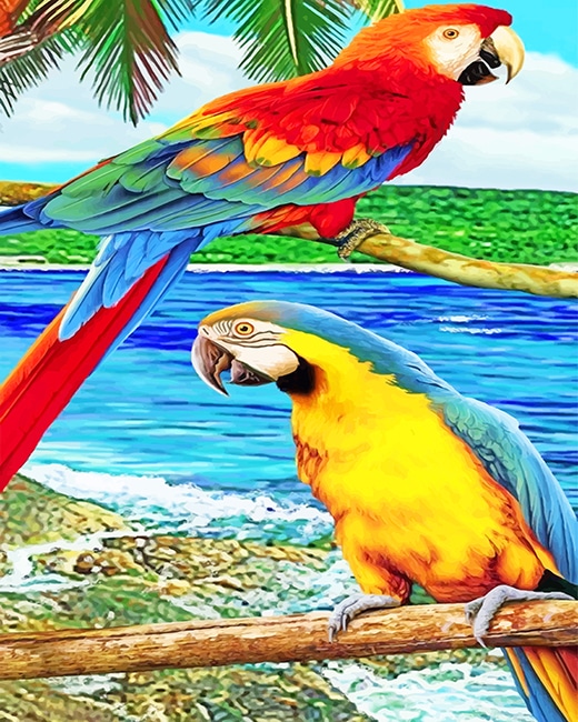 

Cute Parrots – Paint By Numbers - 40*50CM, 501 Original