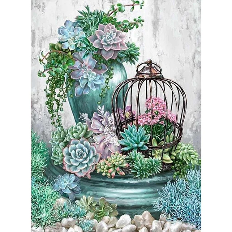 Succulent Plants - Painting By Numbers - 40x50cm