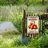 Summer Fruit - Vintage Metal Signs - 20*30cm/30*40cm - Garden