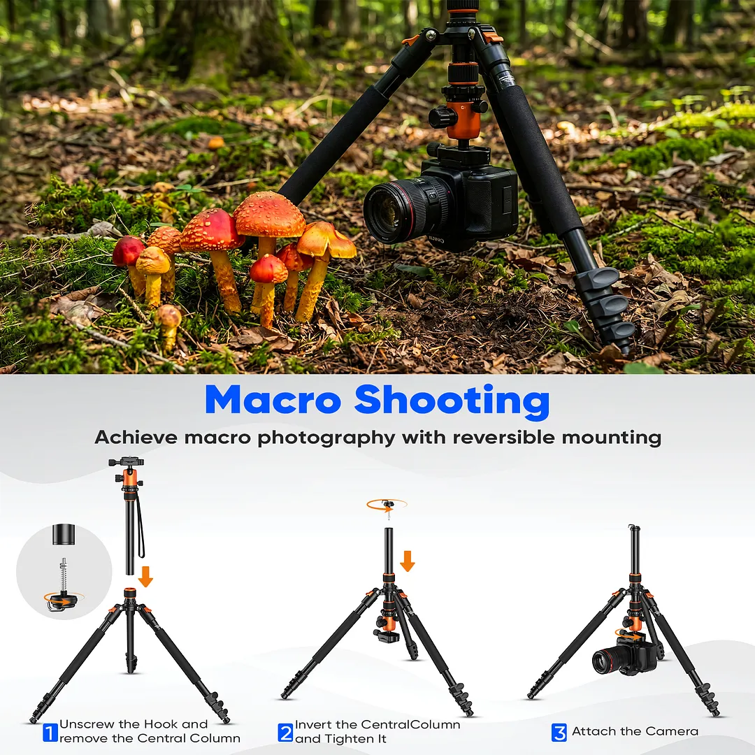BEBANG 67" Camera Tripod for DSLR Cameras, Aluminum Travel Tripod with Monopod, 360&deg; Ball Head, 17.6lb Load Capacity, Lightweight DSLR Tripod