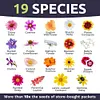 7,500 Fresh Pollinated Non-GMO Species Wildflower Seeds Package