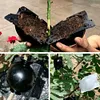 5cm Plant Rooting Box High Pressure Grafting Propagation Ball (Black S)