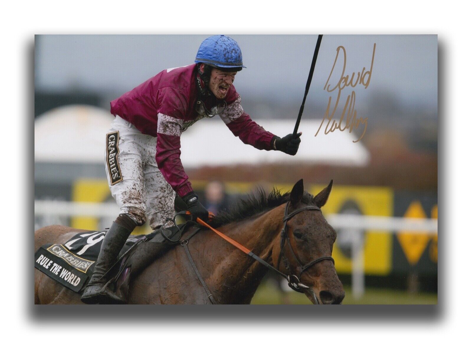 DAVID MULLINS HAND SIGNED 12X8 Photo Poster painting - HORSE RACING AUTOGRAPH.