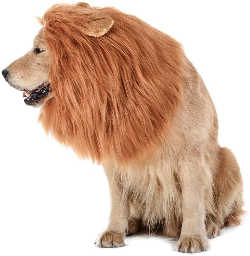 Lion Mane Costume For Dog