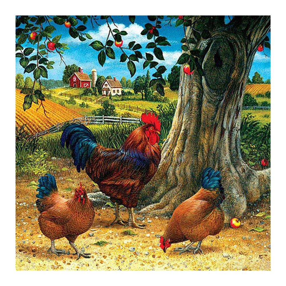 

Rooster - Square Drill Diamond Painting - 50*50CM, Square diamond 50*50cm, 501 Original