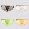 Men's Low Waist Sexy Mesh Transparent Ultra-Thin Briefs