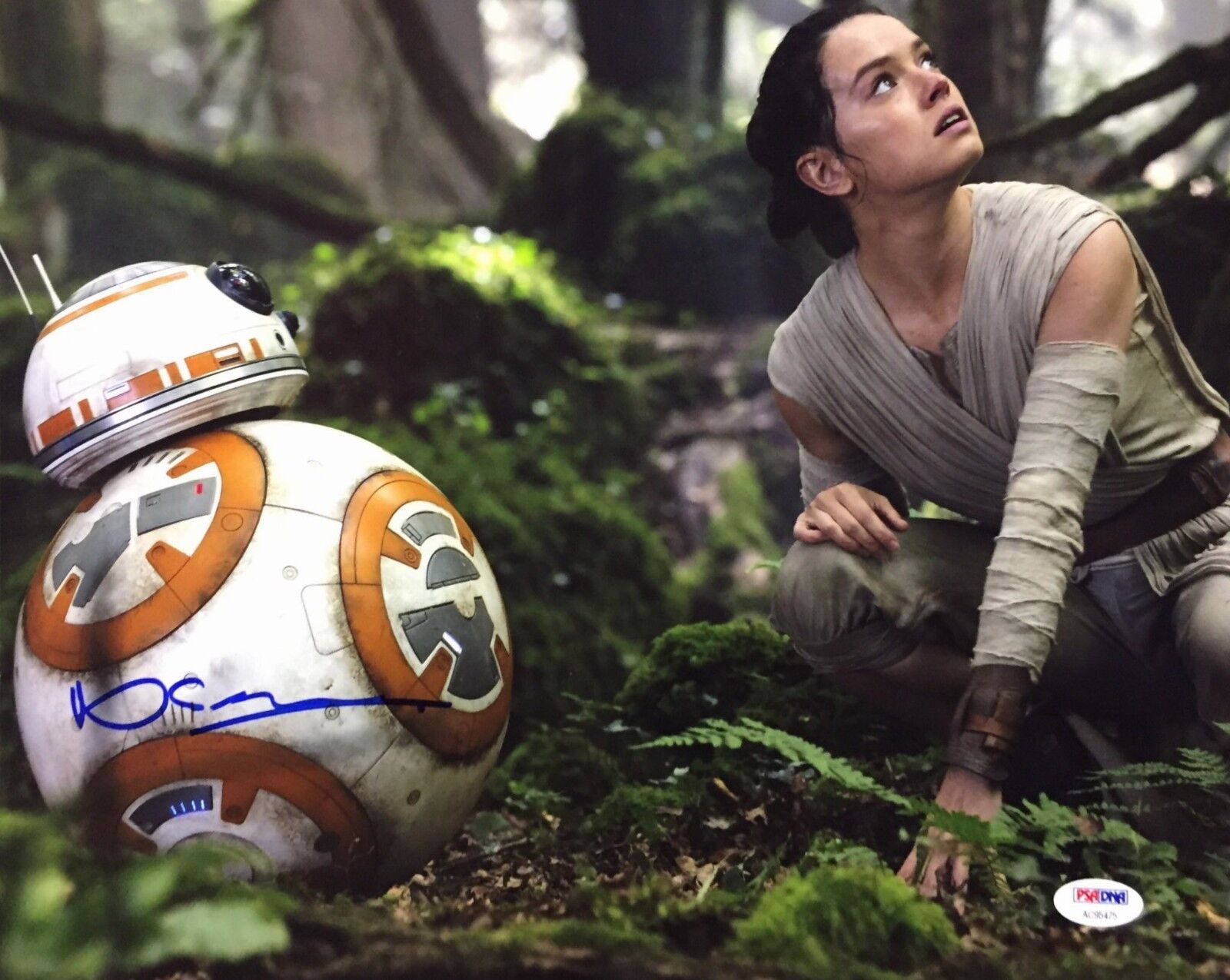 Neal Scanlan Signed Star Wars The Force Awakens BB-8 11x14 Photo Poster painting PSA AC95475