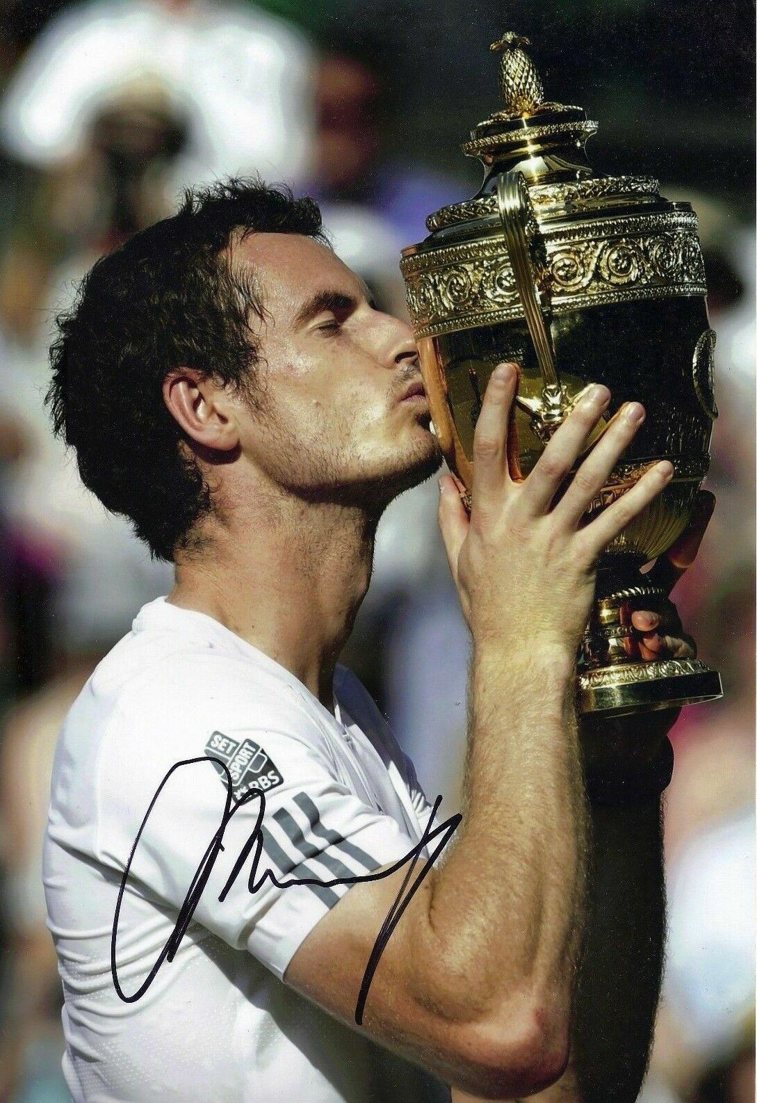 Andy Murray Signed 12X8 Photo Poster painting Genuine US OPEN TENNIS WIMBLEDON AFTAL COA (A)