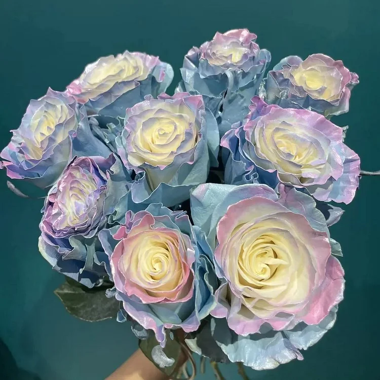 Ecuadorian Rose - Fairy Tale Seeds