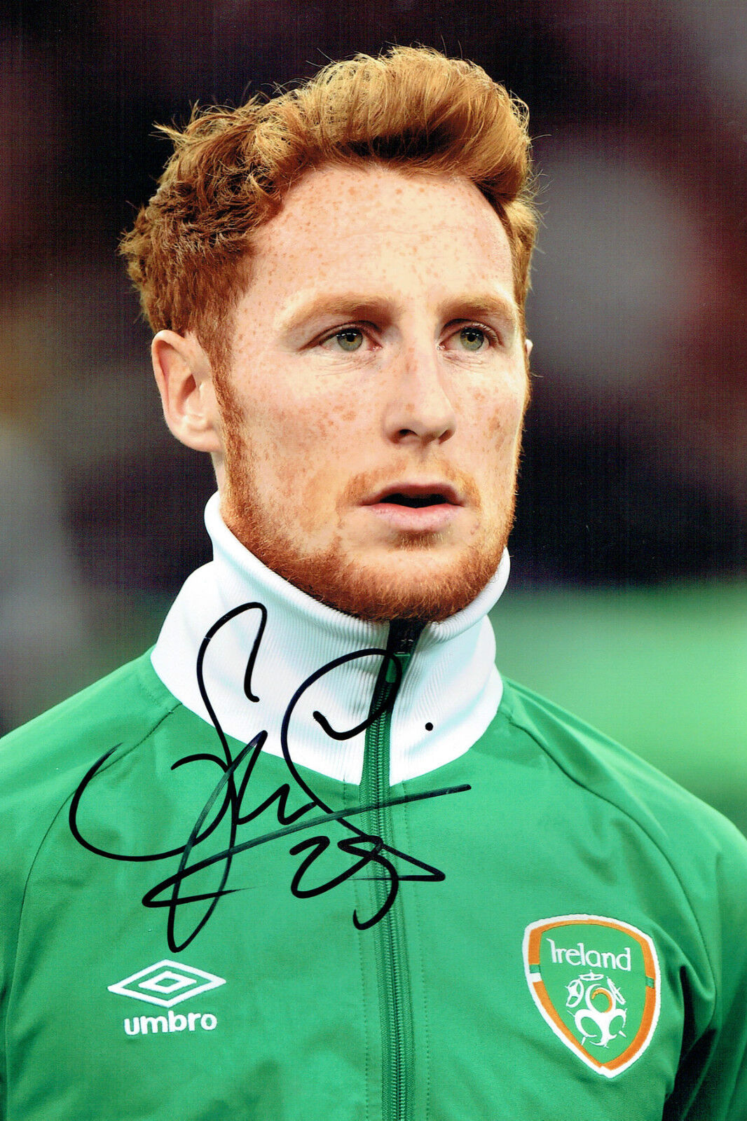 Stephen QUINN Signed Autograph 12x8 Football Ireland Photo Poster painting AFTAL COA Hull City