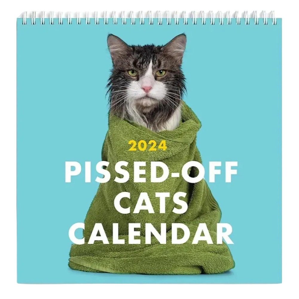 2024 Calendar Cat Hanging Calendar Paper 12 Month Cat Calendars Cat Lovers Gifts