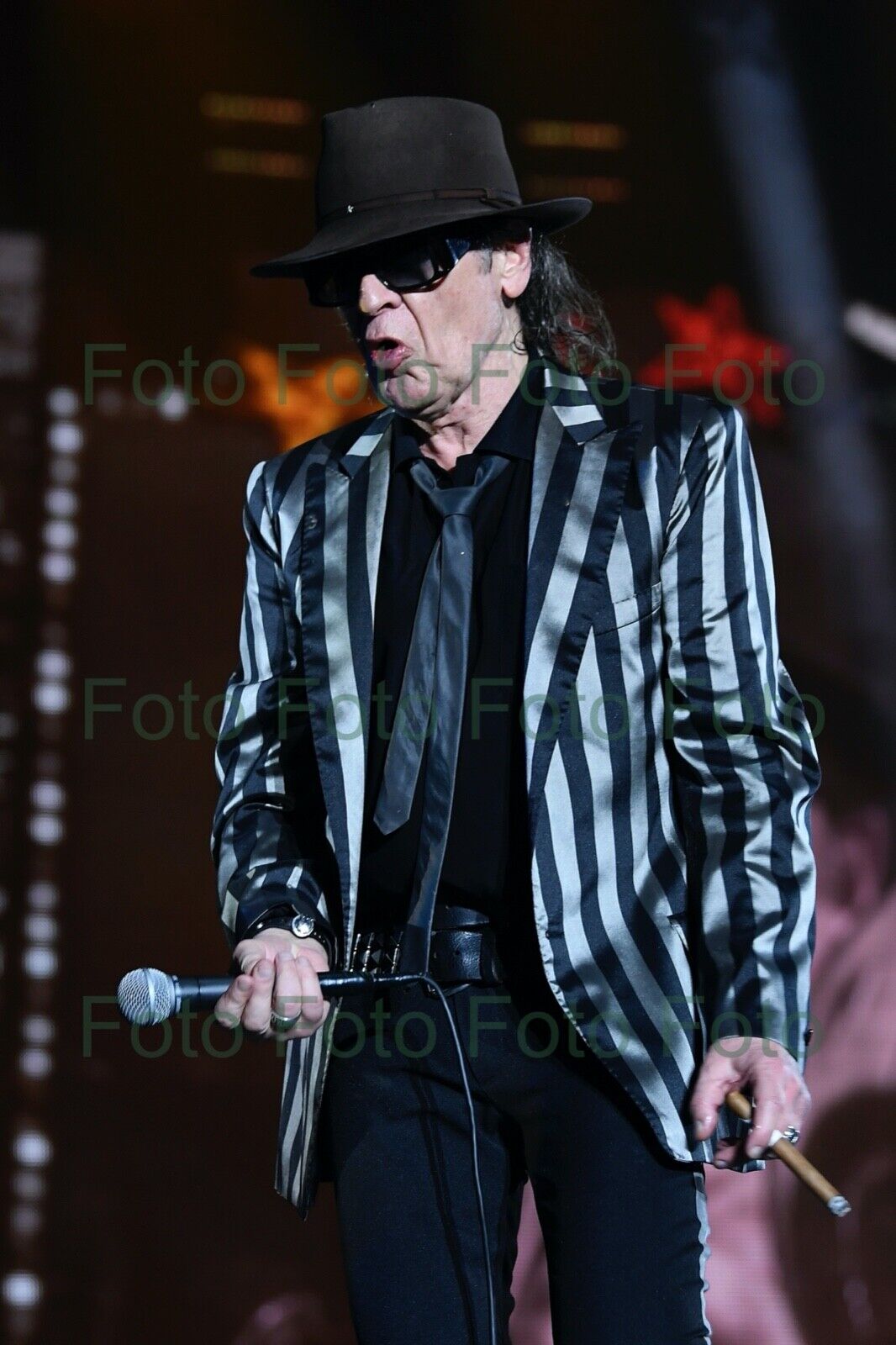 Udo Lindenberg Rock Musik Maler Foto 20 x 30 cm ohne Autogramm (Be-56