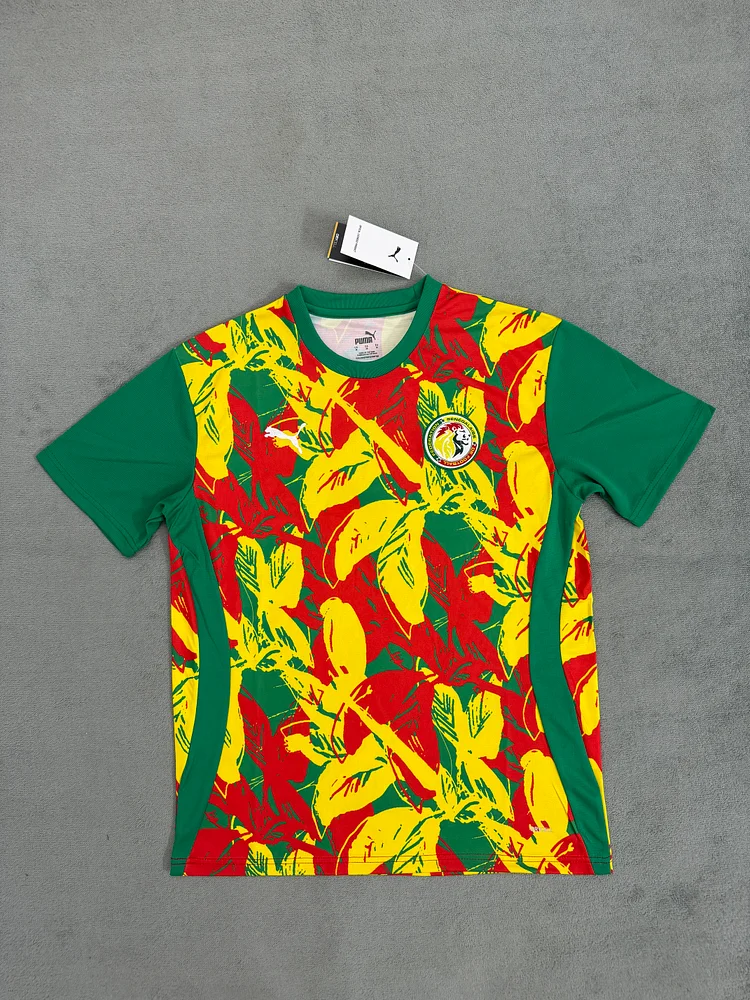 25-26 Senegal pre-match training uniform