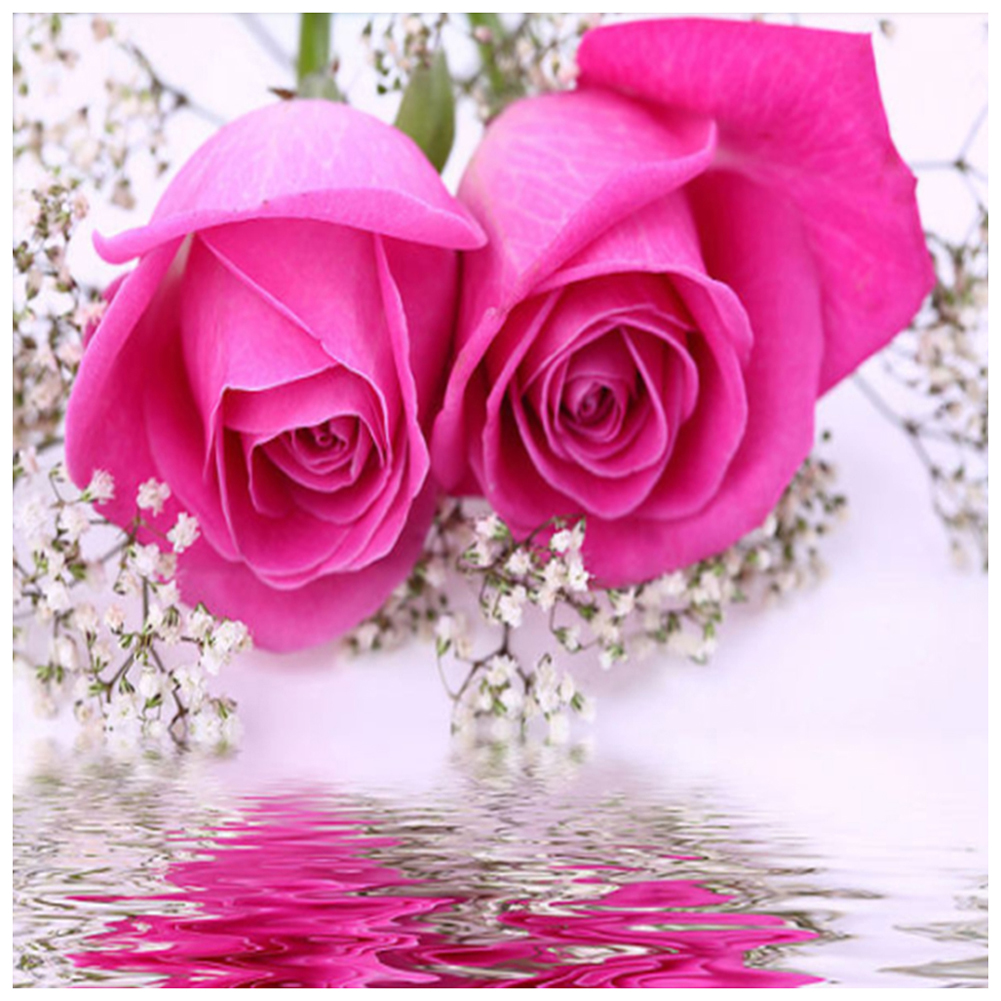 

30*30CM - Round Drill Diamond Painting - Rose Flower, 501 Original