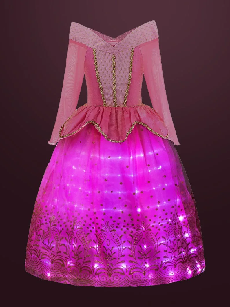 Light Up Girls Princess Dress up Costume