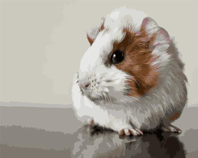 

Cute Guinea Pig – Paint By Numbers - 40*50CM, 501 Original