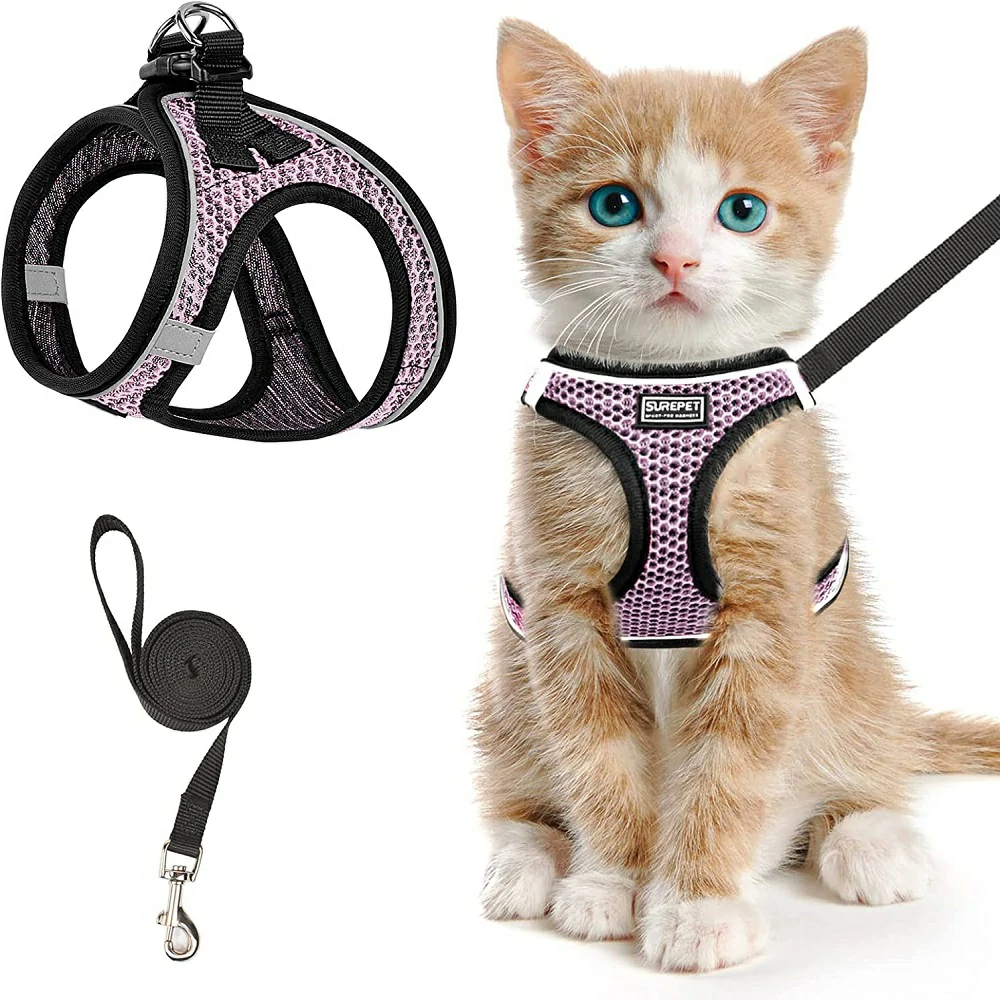 Cheetah Action Serie - Cat Harness Chic Adventures Secure Companionship