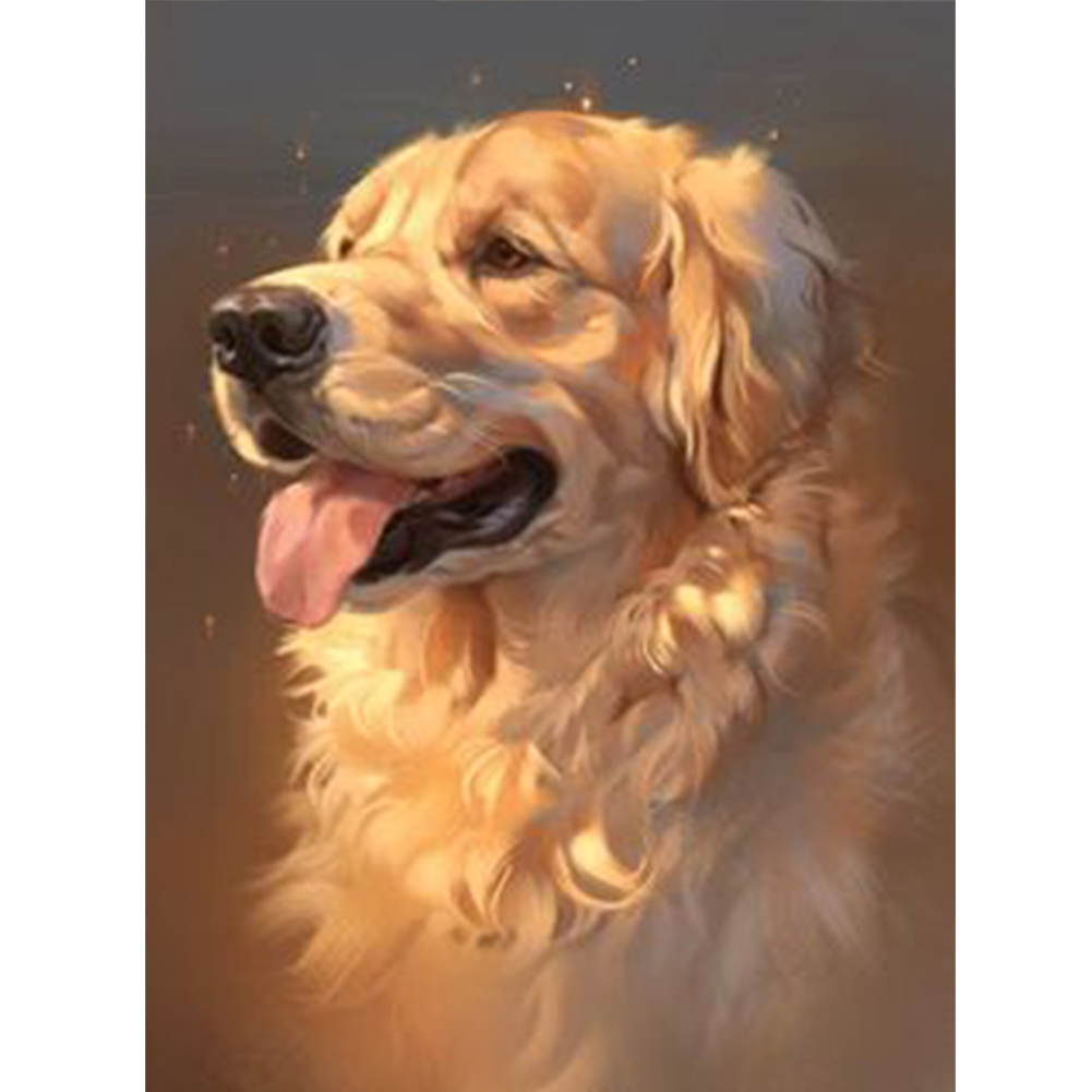 Golden Hair-Paint by Numbers-16"x20"/40x50cm