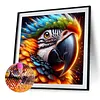 Diamond Painting -DIY Round Drill Parrot(40x40cm)