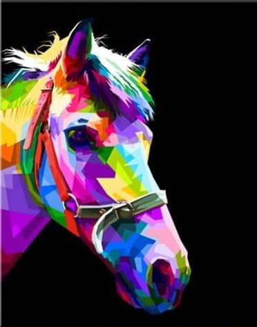 

Horse Head on Color – Paint By Numbers - 40*50CM, 501 Original