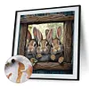 Out-Of-The-Frame Rabbit - Paint by Numbers Acrylic Painting 40*40cm(HOT)