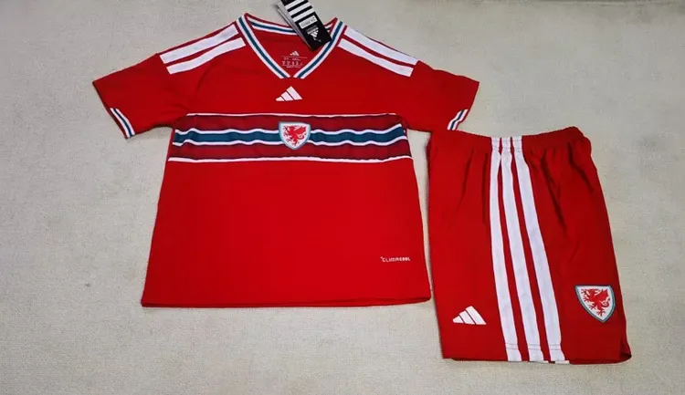 26-27 World Cup Wales Home Match - Children's Clothing