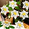 8Pcs 3D White Artificial Flowers DIY Desktop Diamond Art Kit