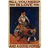 Cowboy - Vintage Metal Signs - 20*30cm - Western