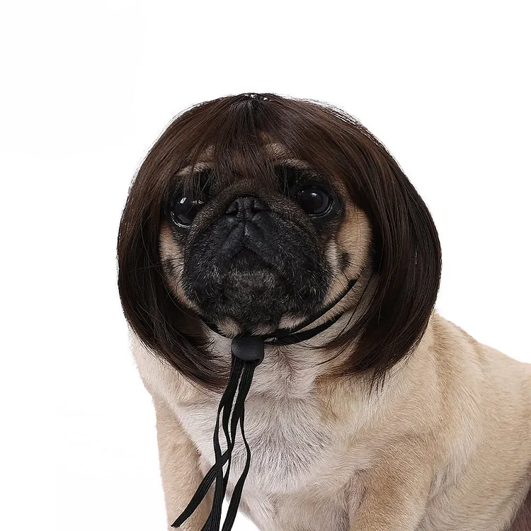 Cute Pet Wig Headband &ndash; Funny Costume Accessory for Dogs & Cats 