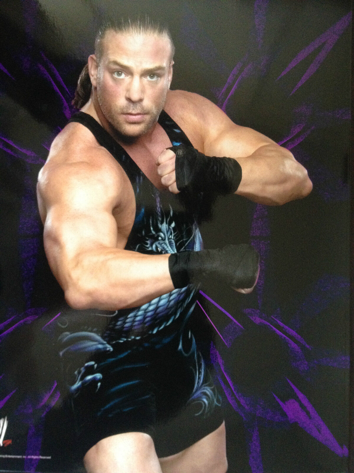 ROB VAN DAM - TOP WWF WRESTLER - SUPERB COLOUR Photo Poster paintingGRAPH